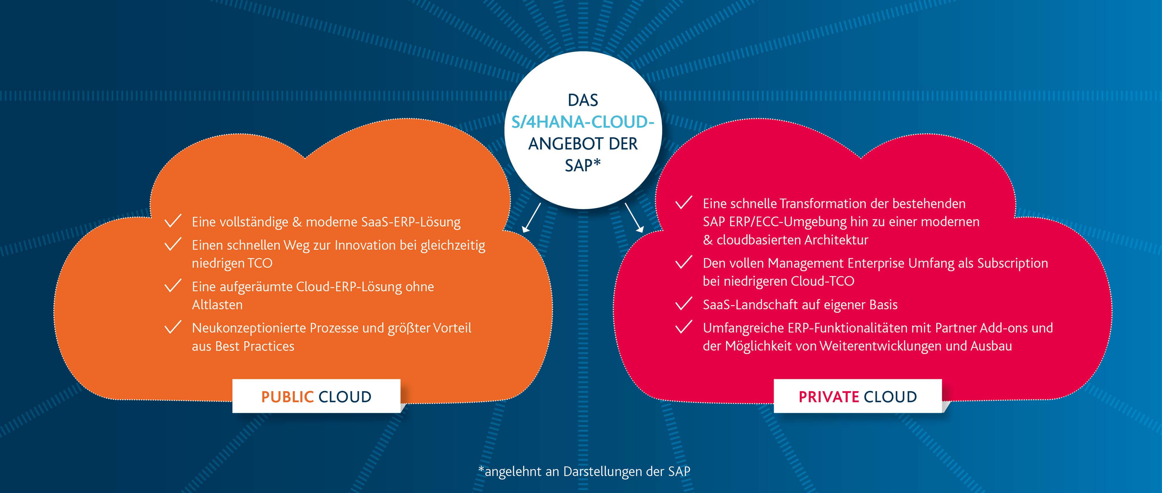 S/4HANA-Cloud-Angebot der SAP - Rise with SAP - Grafik