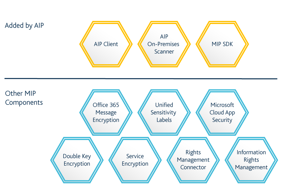 Microsoft Information Protection Funktionen | Arvato Systems