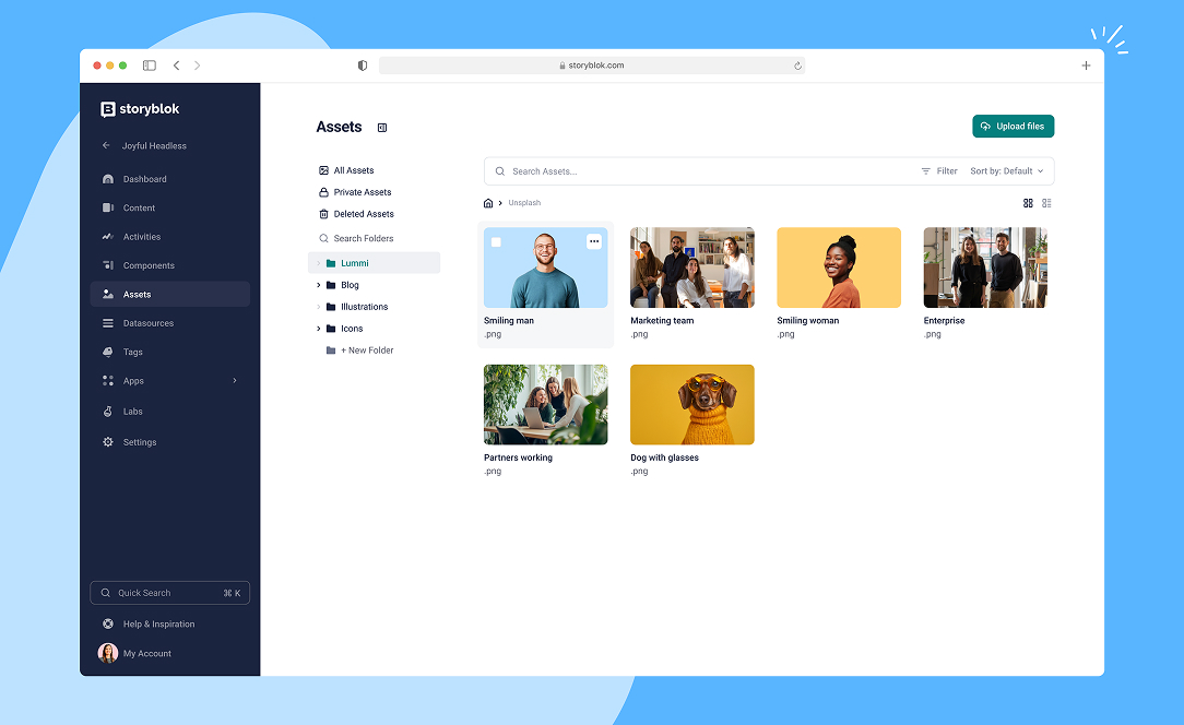 Assets Storyblok Assets