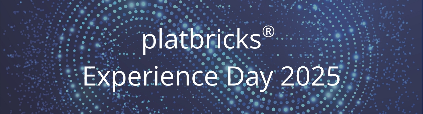 PM platbricks Experience Day_Headerbild Web_1480x400